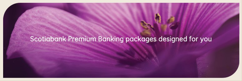 Purple Flower Premium Banking